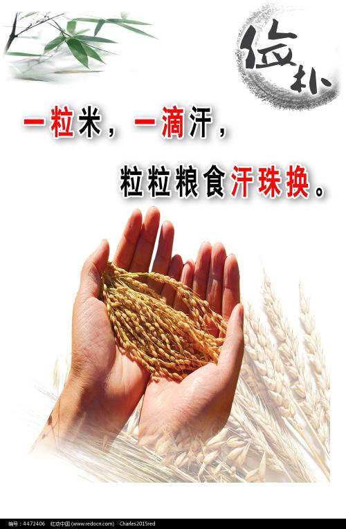 新版武警驾驶证如何作假